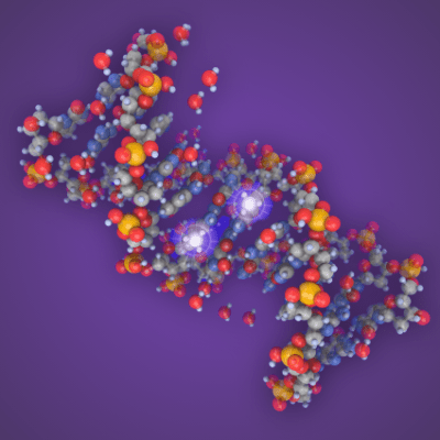 Predicting Death Risk After Hip Fracture